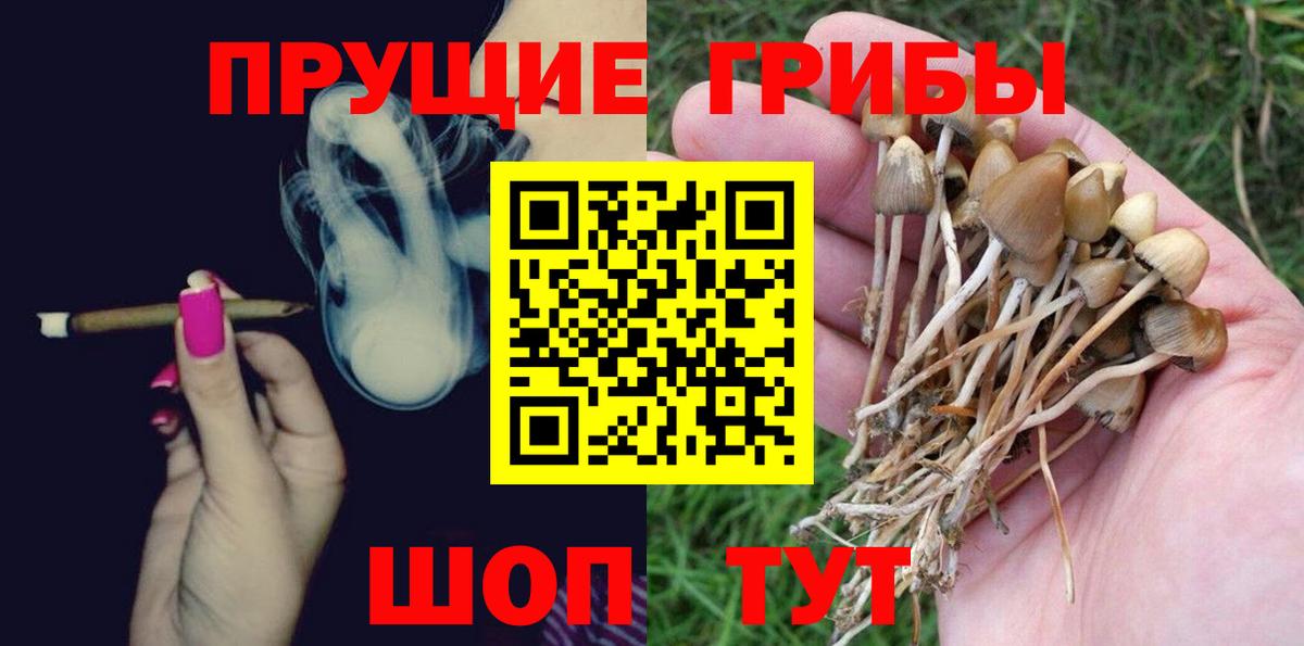 Галлюциногенные грибы ЛСД Острогожск